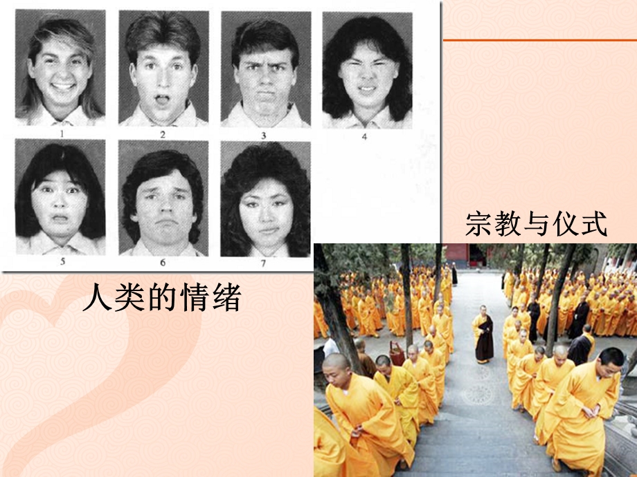 心理学谈为何会成瘾课件.ppt_第2页