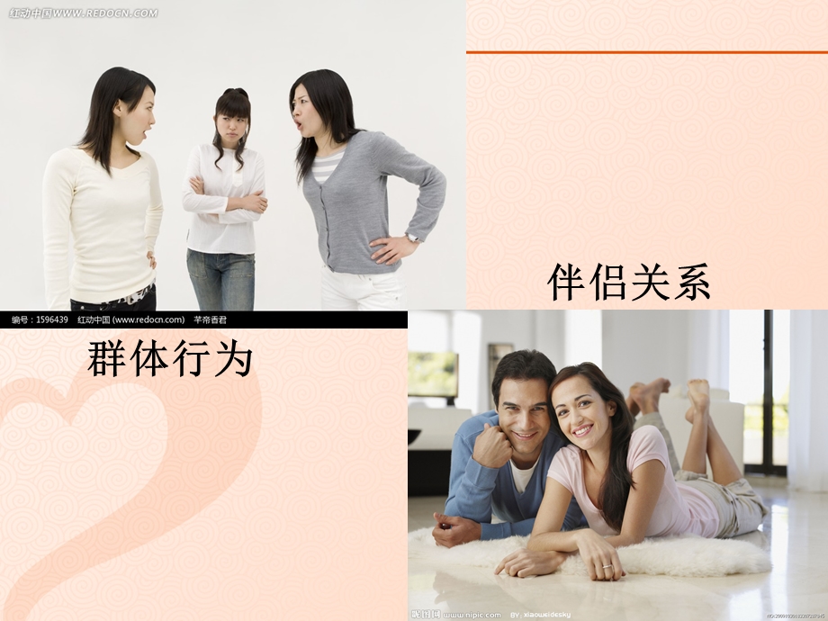 心理学谈为何会成瘾课件.ppt_第3页