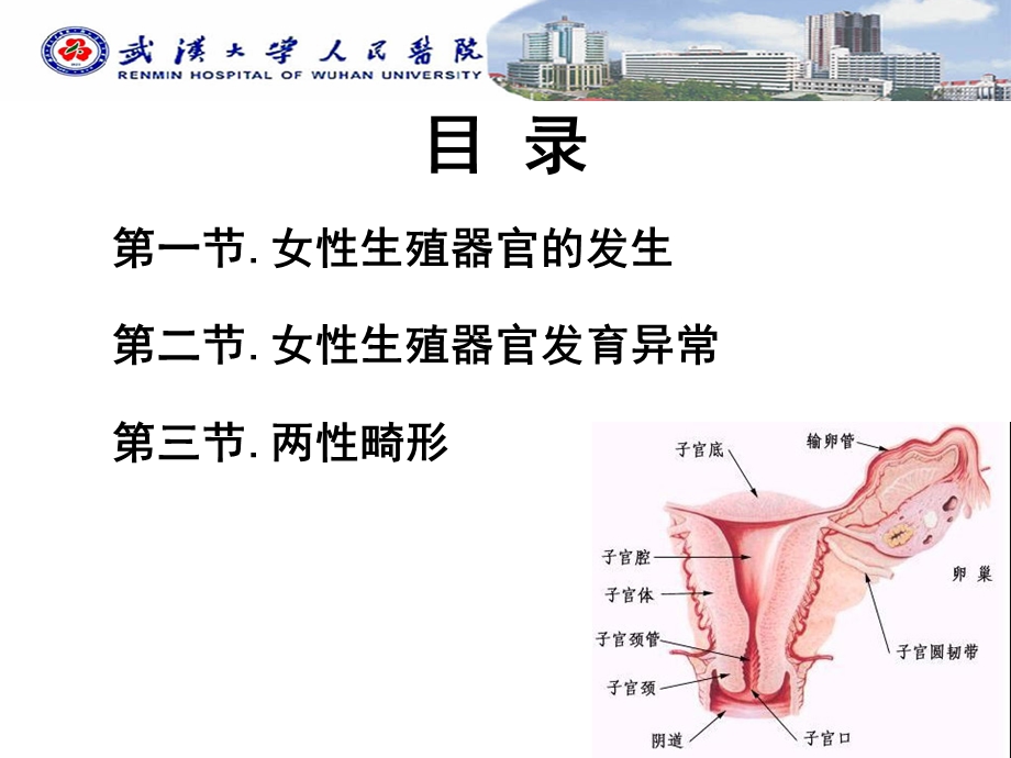 女性生殖器官发育异常课件.ppt_第2页