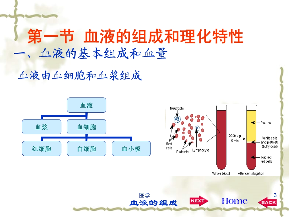 《生理学》血液.ppt_第3页