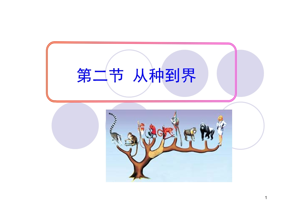 从种到界-人教版课件.ppt_第1页