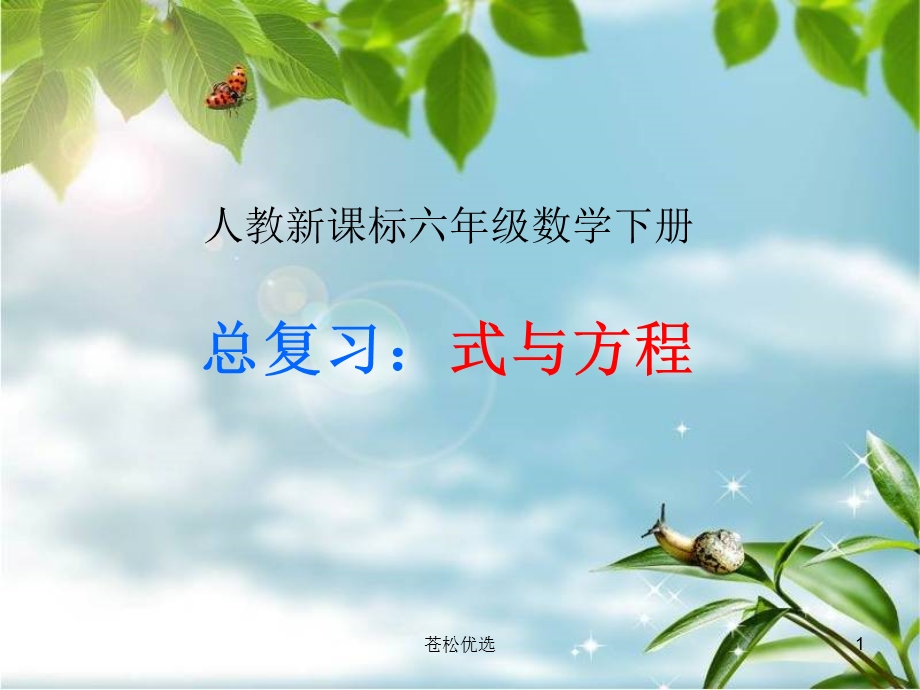 式与方程-整理复习(基础资料)课件.ppt_第1页