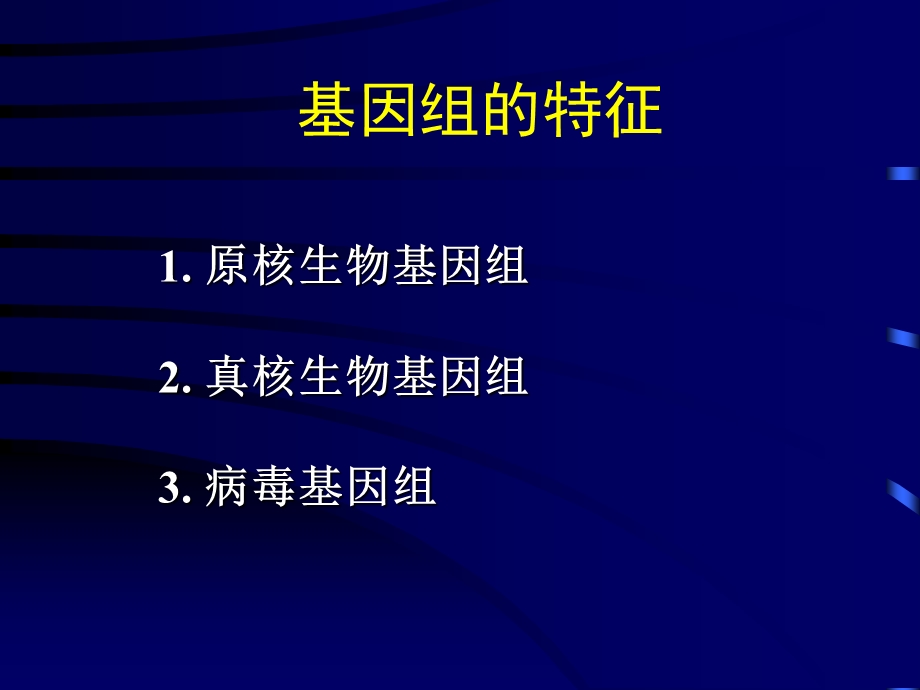 基因组的结构特点课件.ppt_第1页