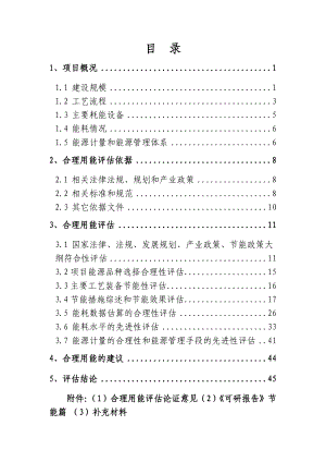 天津港国际邮轮码头工程建设项目合理用能评估报告.doc