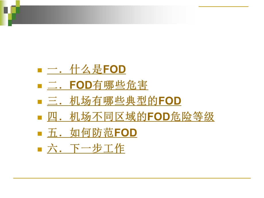 FOD防范培训课件.ppt_第2页