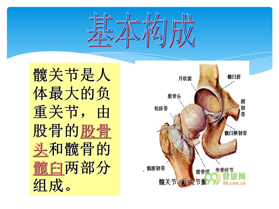 全髋关节置换术后护理查房课件.ppt_第2页