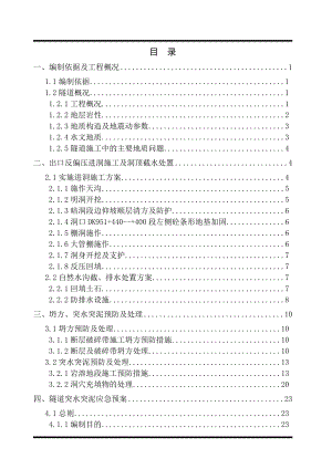 背阴坡隧道隧道岩溶处治专项施工方案.doc