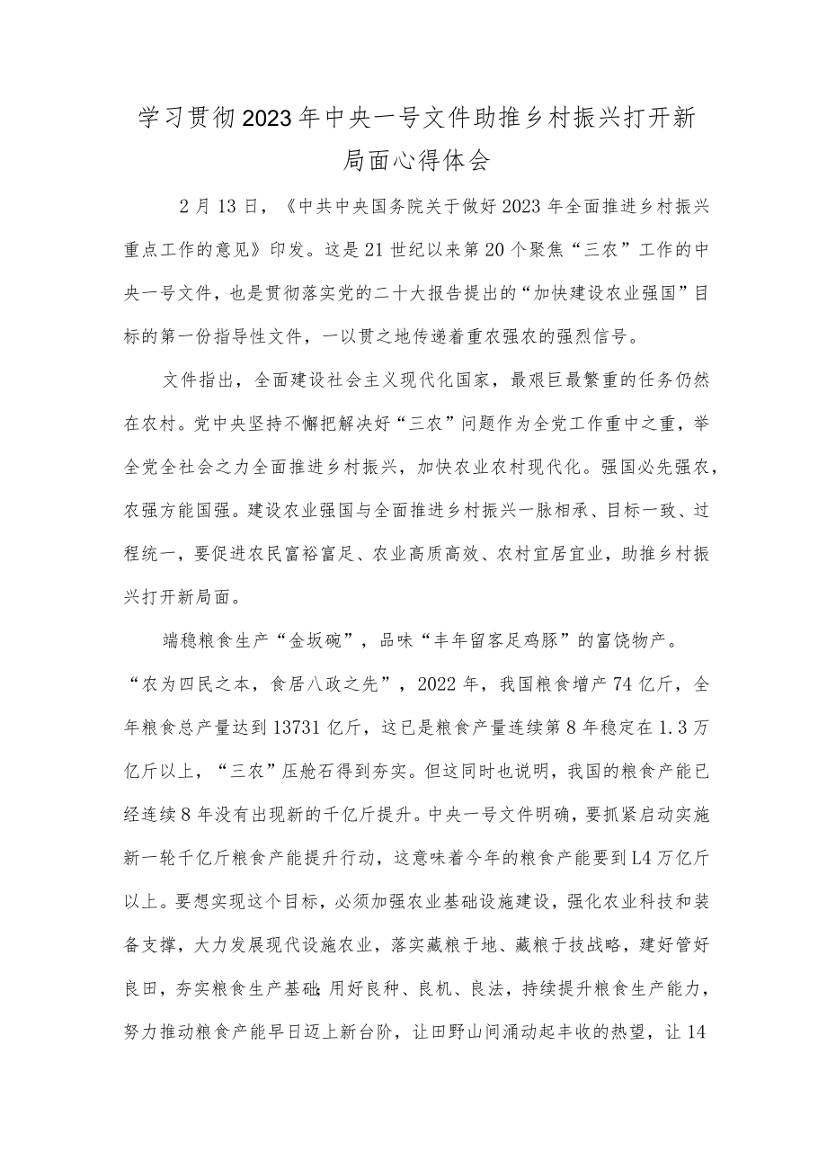 学习贯彻2023年中央一号文件助推乡村振兴打开新局面心得体会.docx_第1页