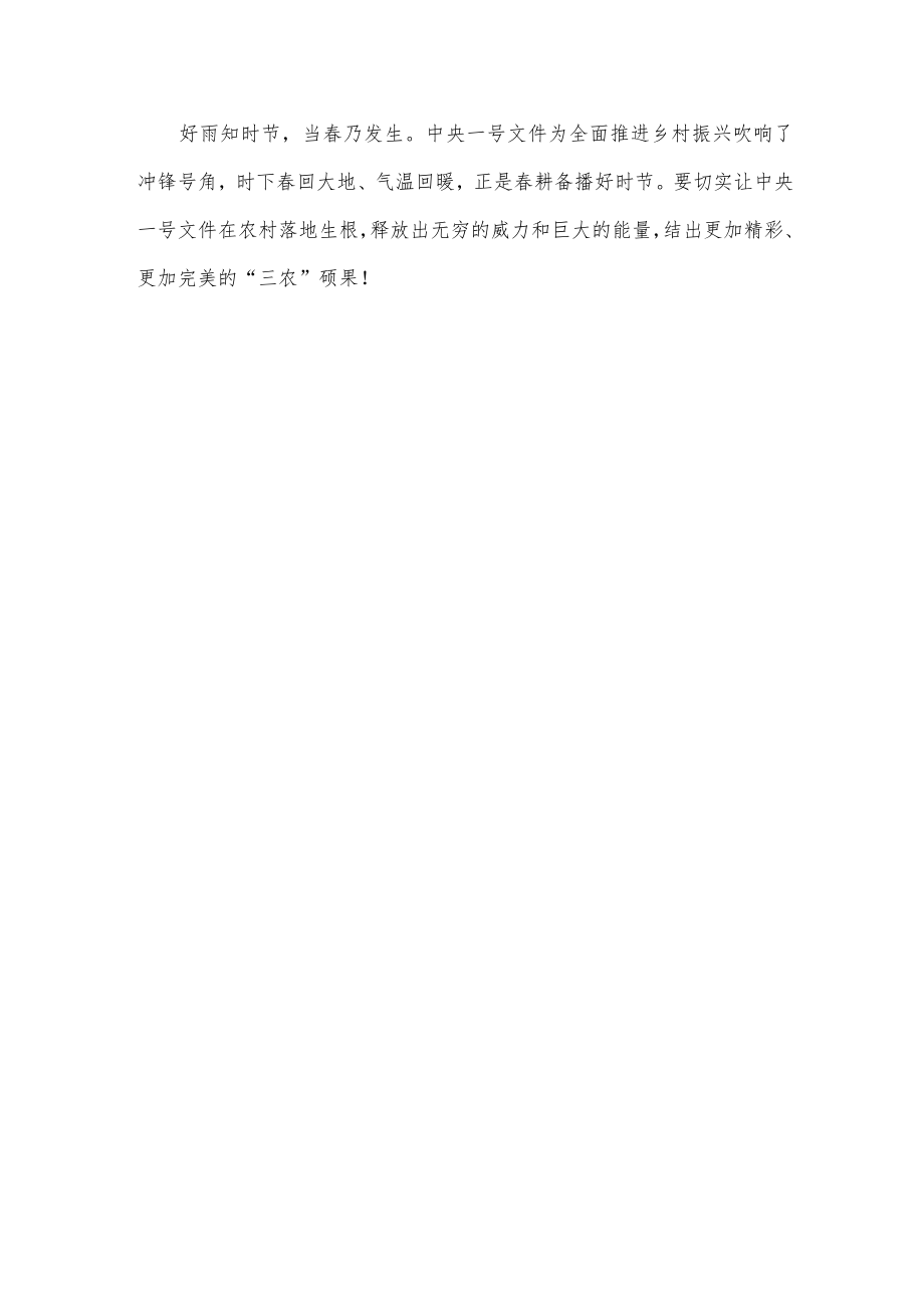 学习贯彻2023年中央一号文件助推乡村振兴打开新局面心得体会.docx_第3页