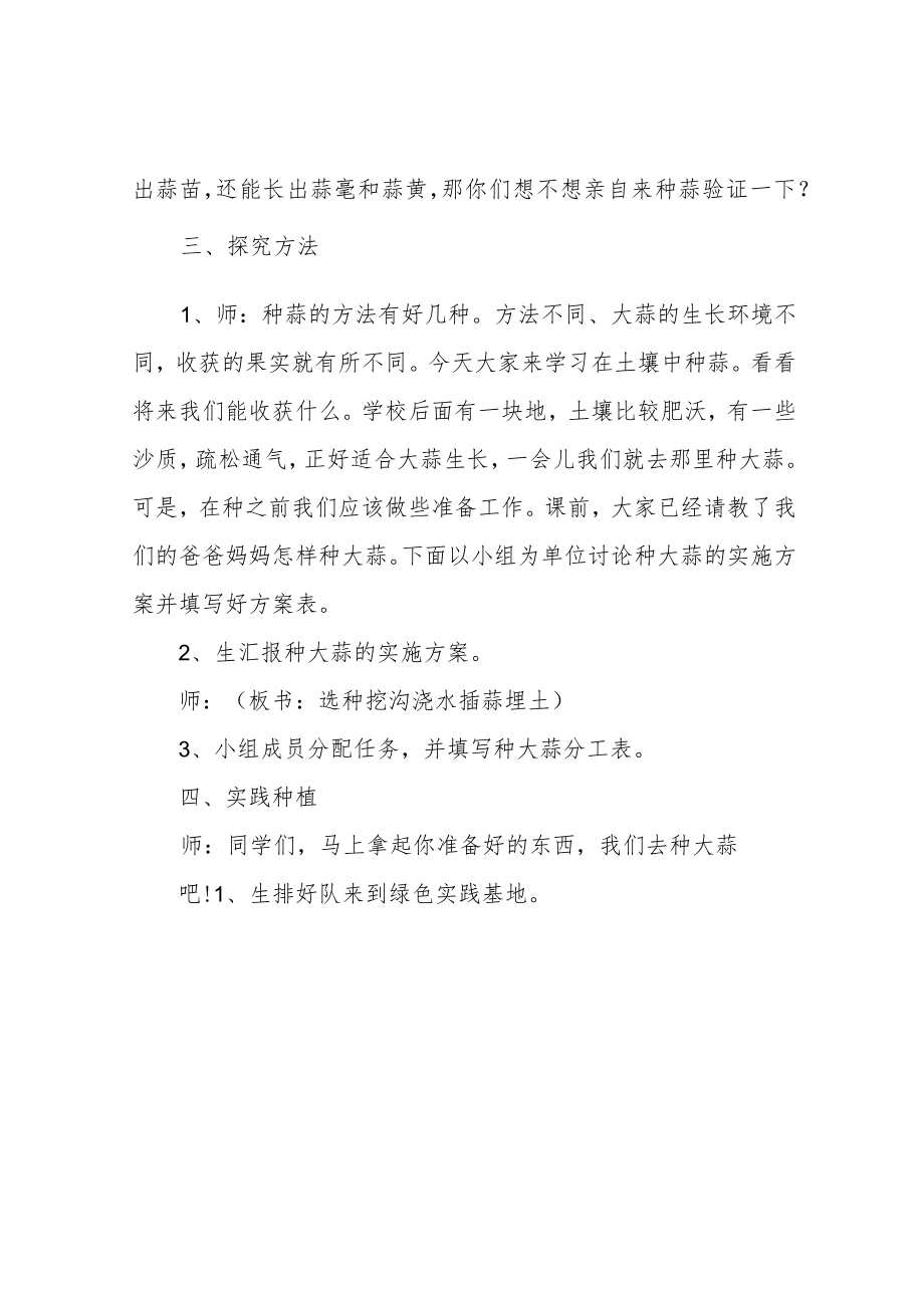 小学劳动技术课教案 种大蒜1.docx_第3页