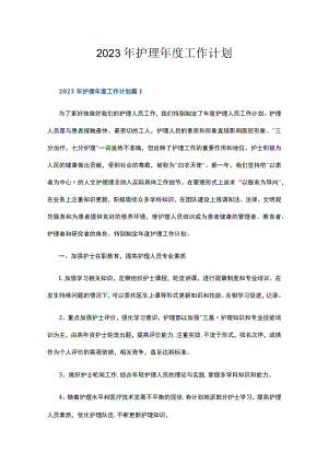 2023年护理年度工作计划十篇.docx