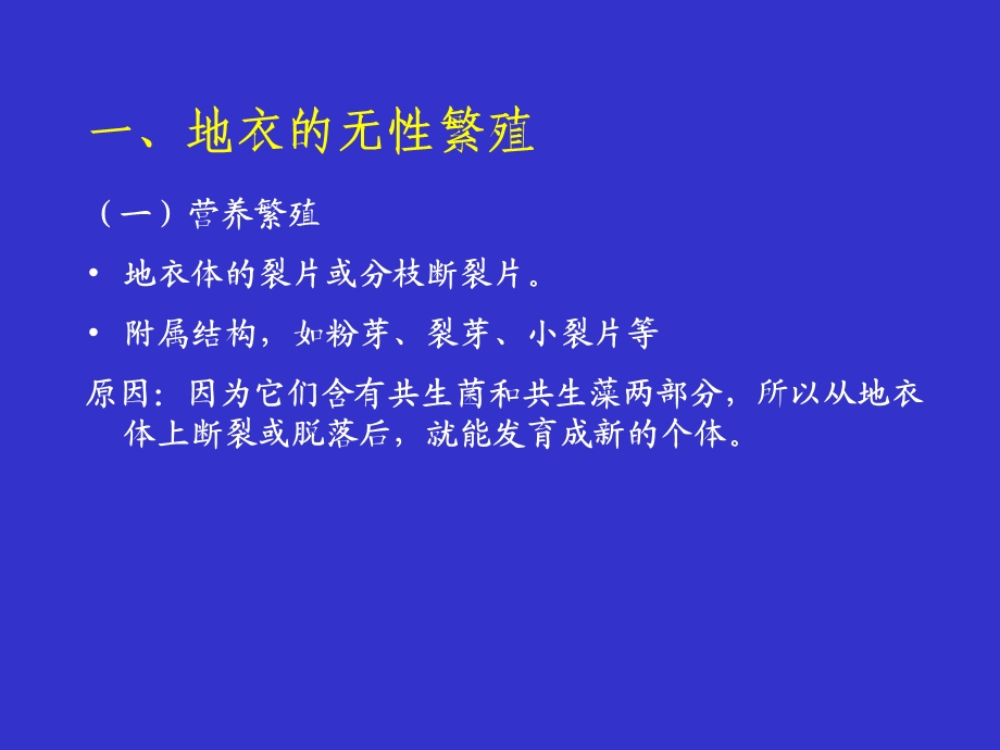 地衣的繁殖课件.ppt_第1页