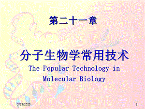 分子生物学常用技术课件.pptx