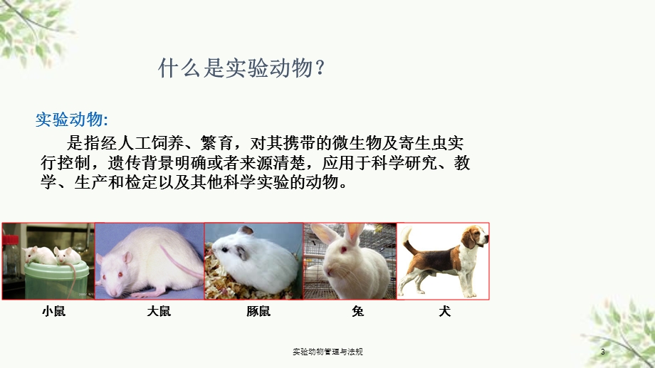 实验动物管理与法规PPT课件.ppt_第3页