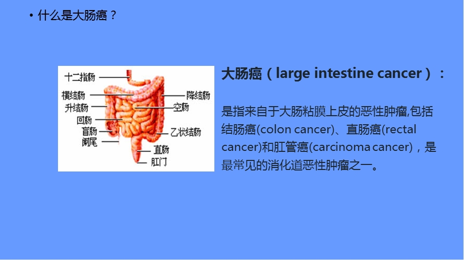 大肠癌科普讲座课件.ppt_第3页