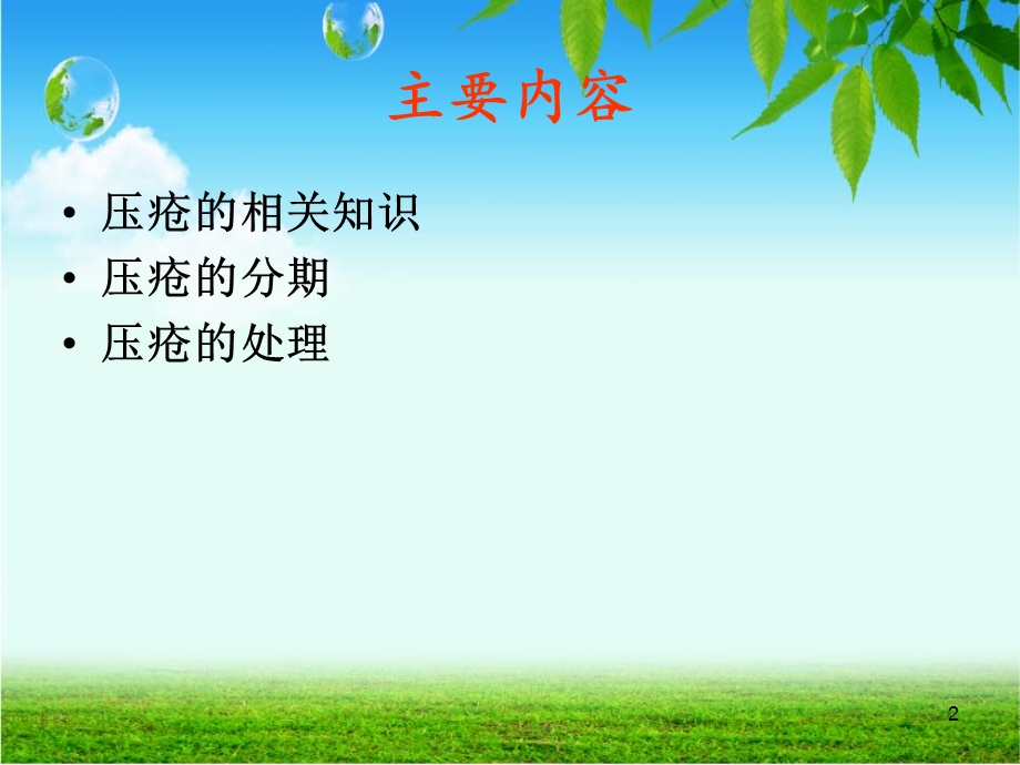 压疮的治疗和护理课件ppt.ppt_第2页