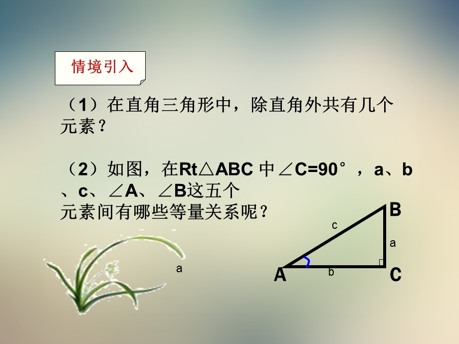 北师大版数学九年级下册ppt课件：解直角三角形.ppt_第3页