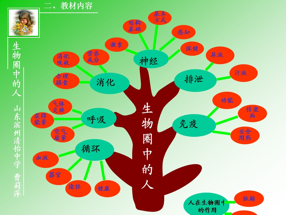 济南版义务教育课程标准教科书生物学七年级下册课件.ppt_第3页