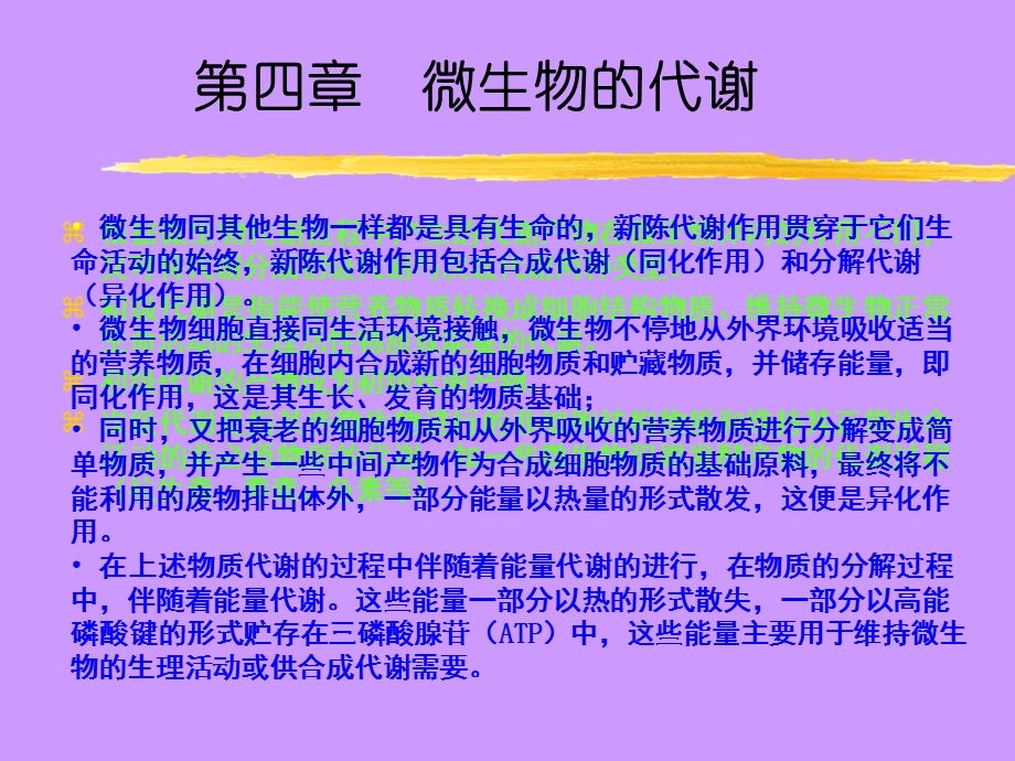 微生物的代谢课件.ppt_第1页