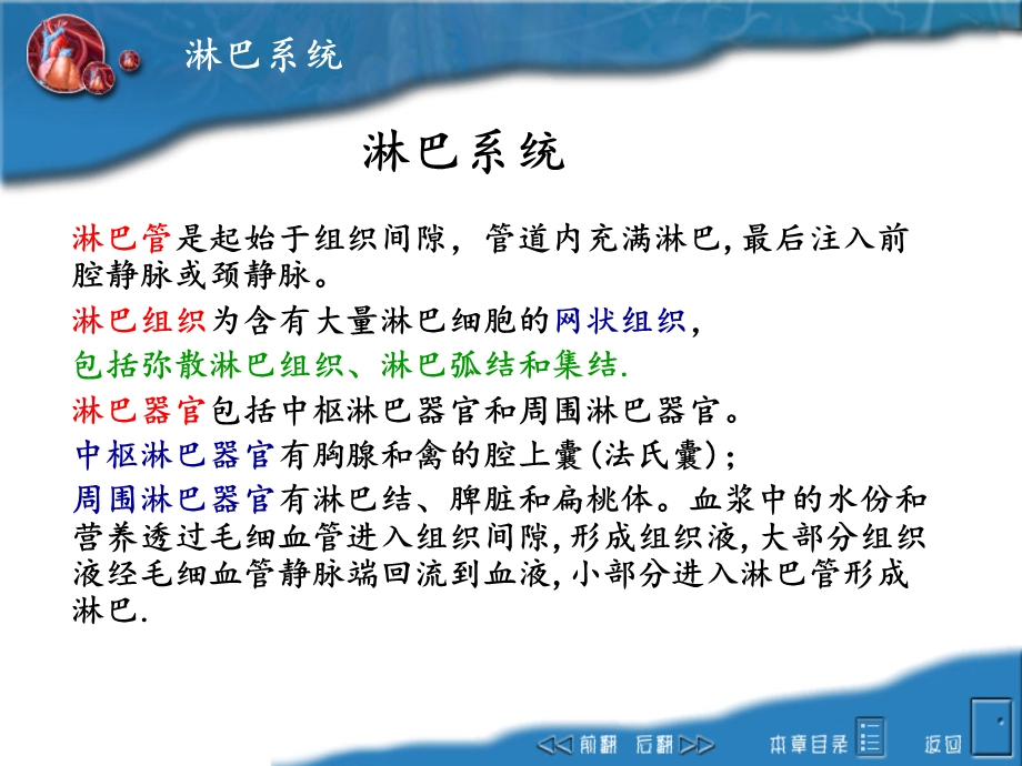 畜禽解剖学之淋巴系统ppt课件.ppt_第3页