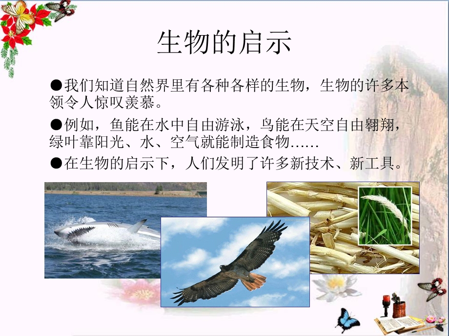 六年级科学上册生物的启示课件青岛版.ppt_第3页