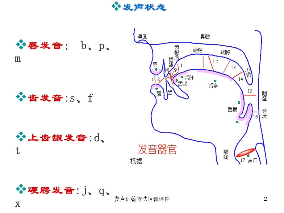 发声训练方法培训ppt课件.ppt_第2页