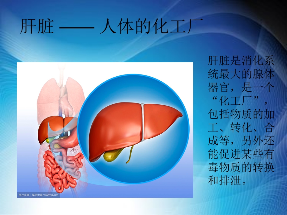 慢性乙型病毒性肝炎课件.ppt_第2页