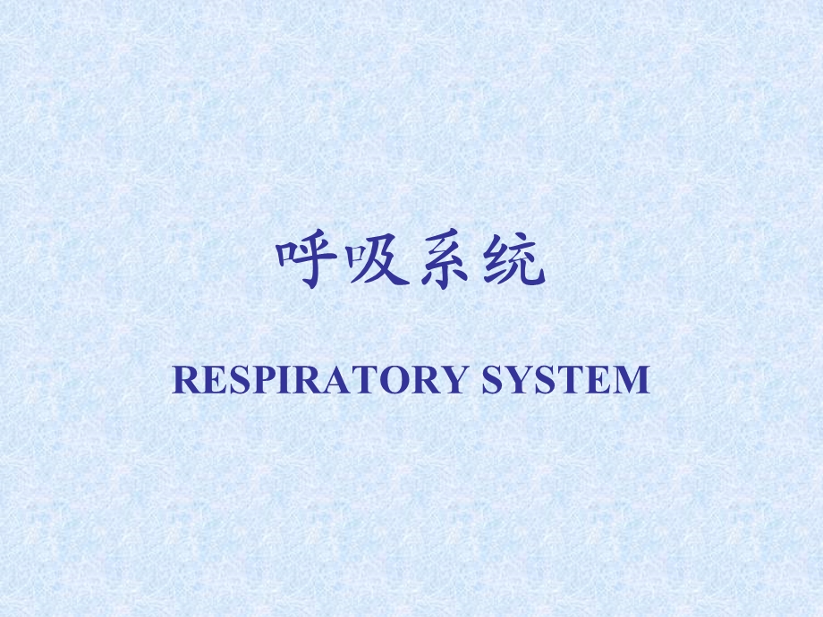 呼吸系统课件.pptx_第1页