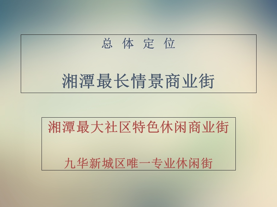 某商业街运营实施方案课件.ppt_第2页