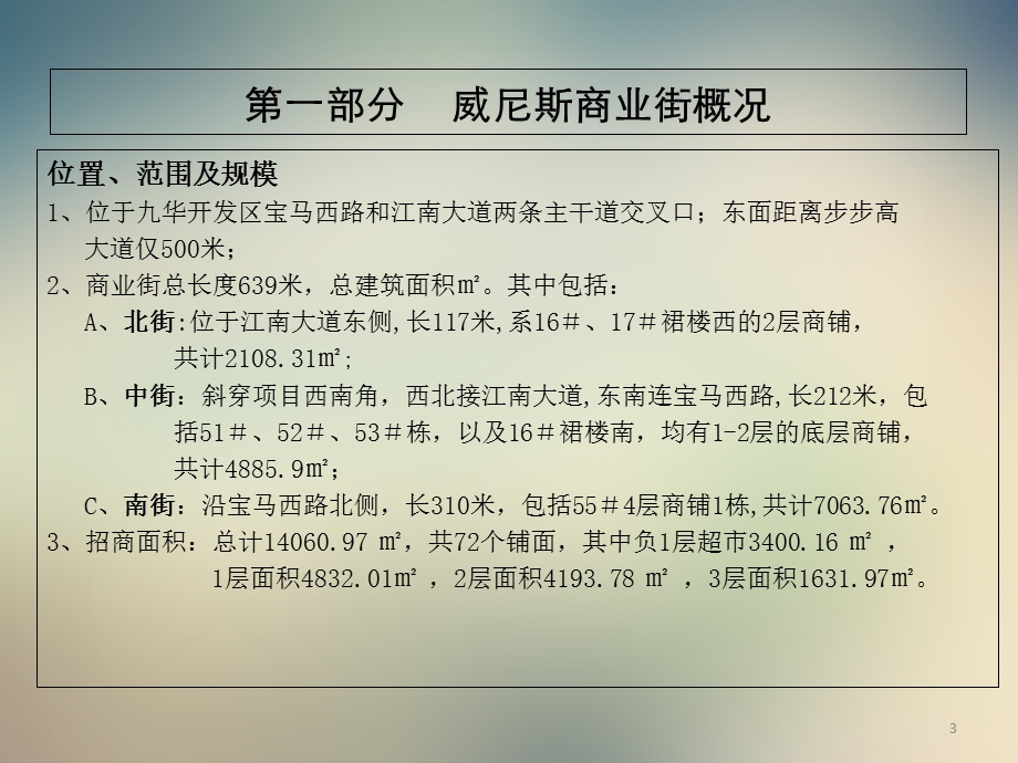 某商业街运营实施方案课件.ppt_第3页