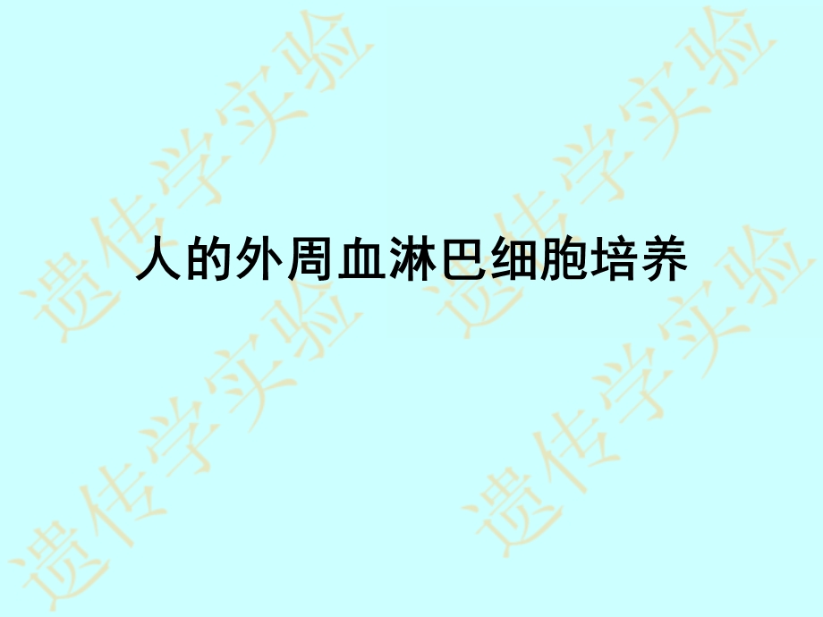 人的外周血淋巴细胞培养课件.ppt_第1页