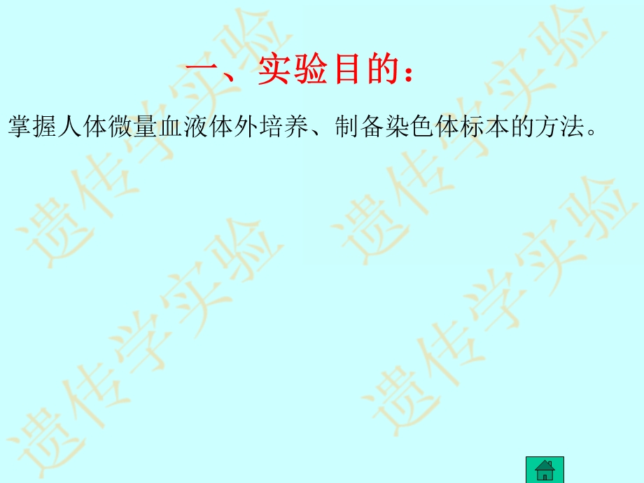 人的外周血淋巴细胞培养课件.ppt_第3页