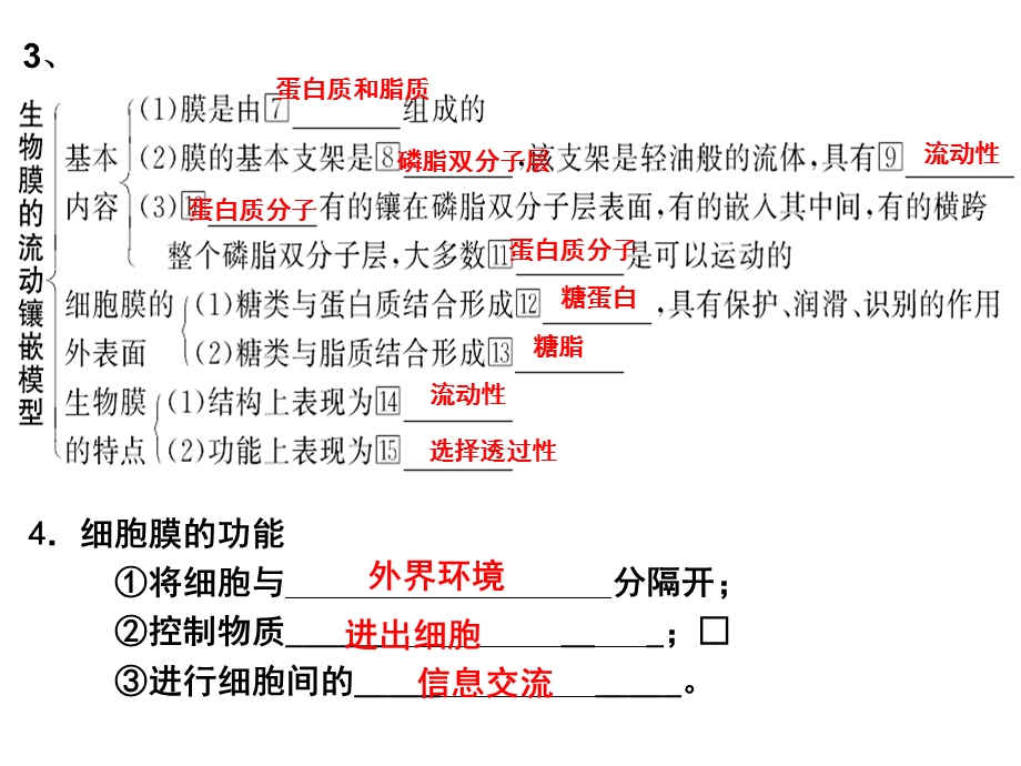 细胞膜的成分结构和功能课件.ppt_第3页