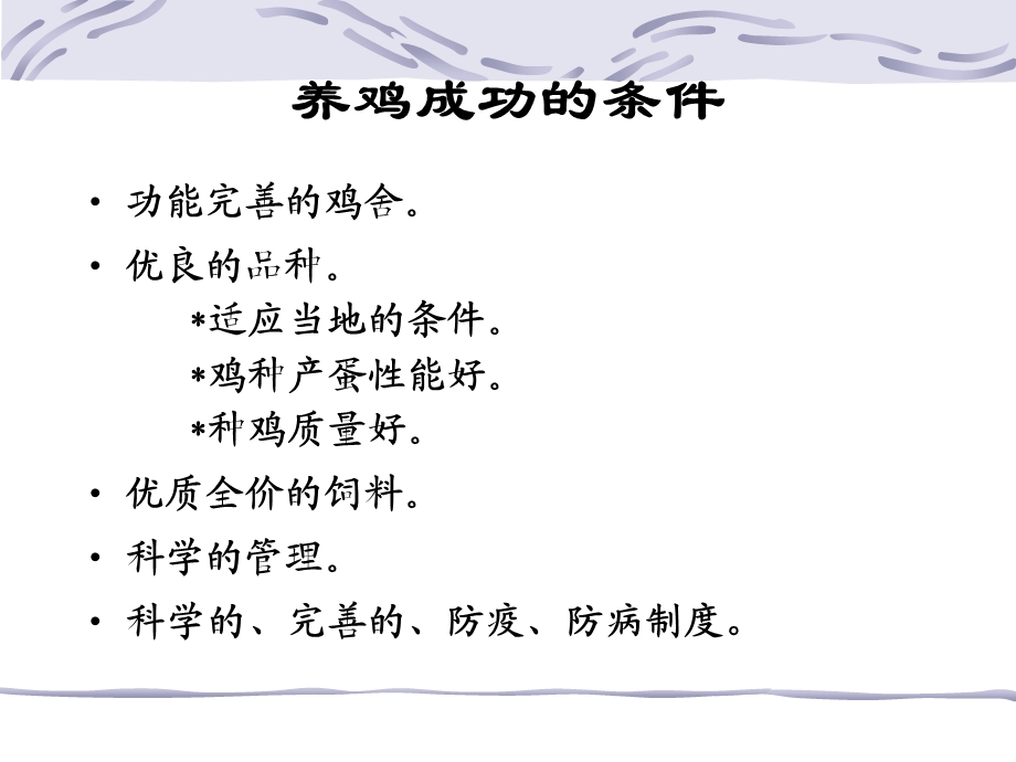 养鸡各周期的管理技术课件.ppt_第1页