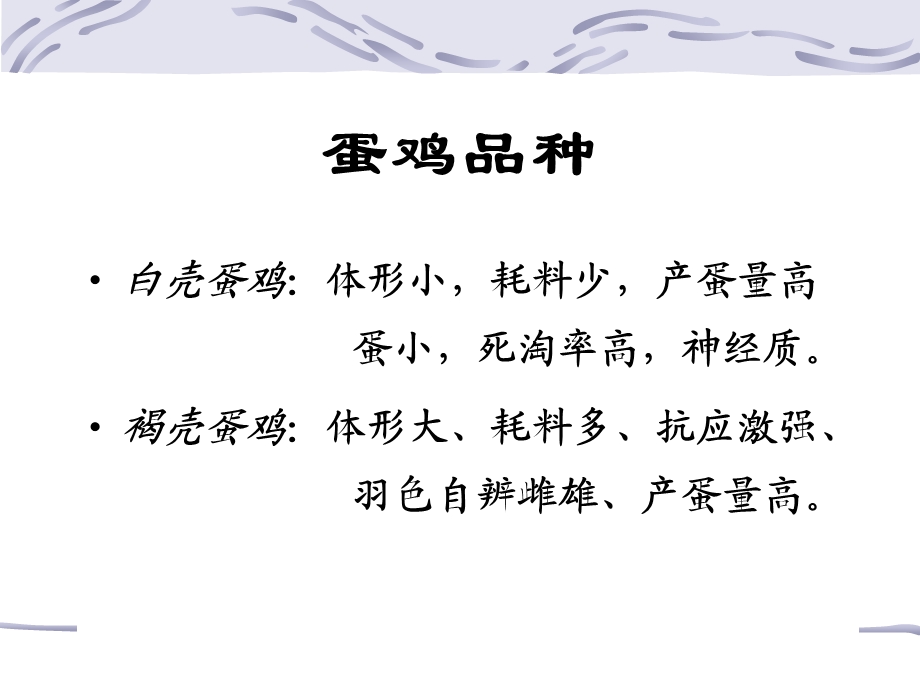 养鸡各周期的管理技术课件.ppt_第3页