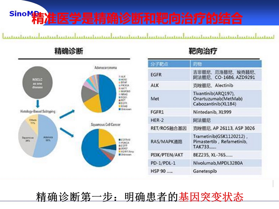 分子诊断与精准医疗分析课件.ppt_第3页