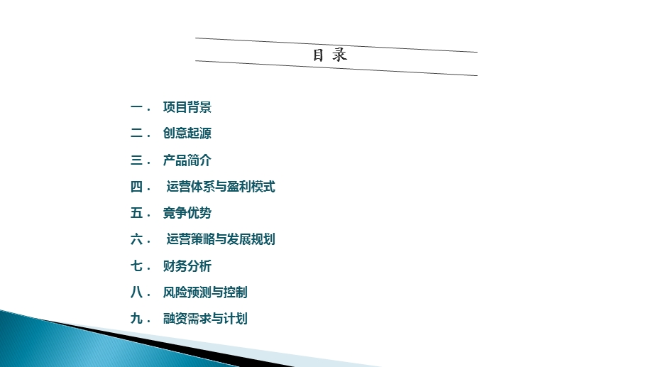 旅游通商业计划书课件.ppt_第2页