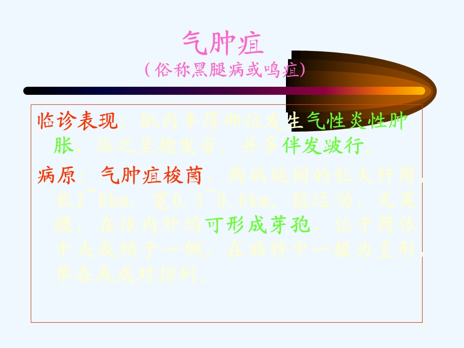 反刍动物传染病课件.ppt_第2页