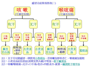 治疗感冒的中药方法简体中文版课件.ppt