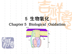 5茶叶生物化学.ppt