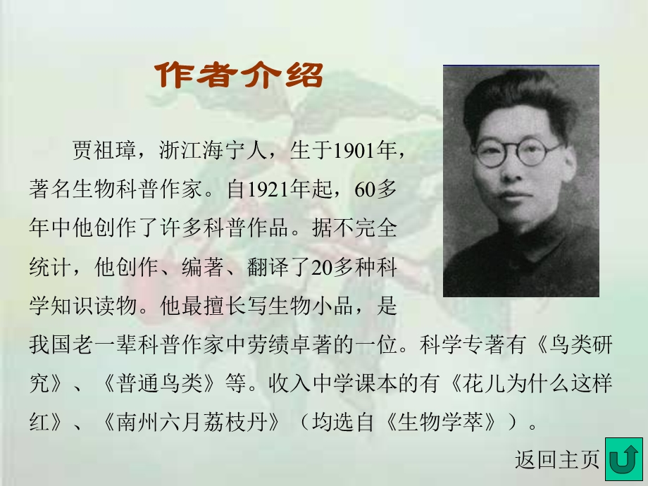 南州六月荔枝丹课件.ppt_第3页