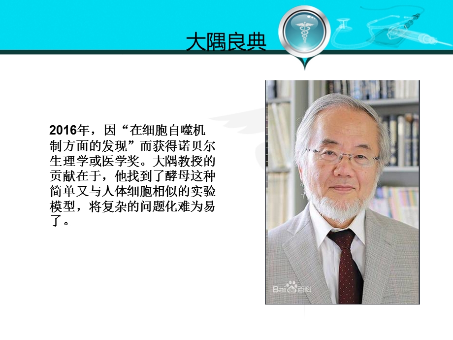 细胞自噬机制课件.ppt_第3页