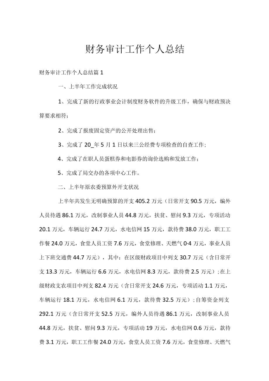 财务审计工作个人总结.docx_第1页