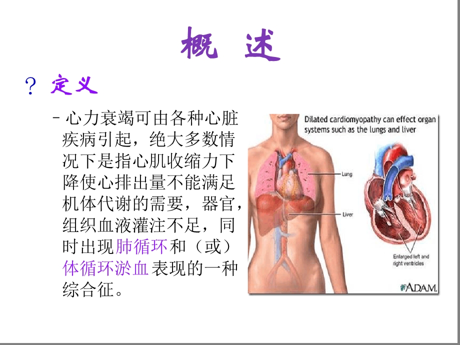 心功能不全健康教育课件.ppt_第2页