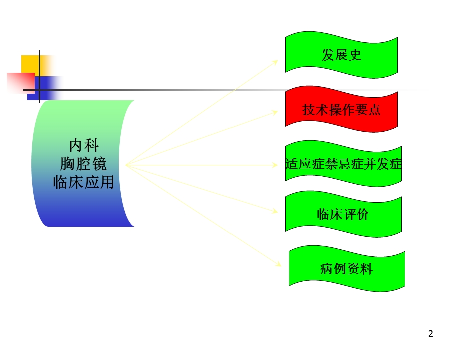 内科胸腔镜演示ppt课件.ppt_第2页