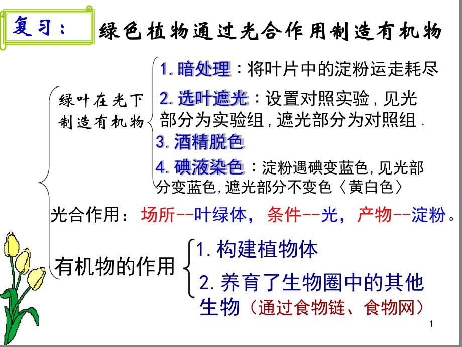 光合作用吸收二氧化碳释放氧气ppt课件.ppt_第1页