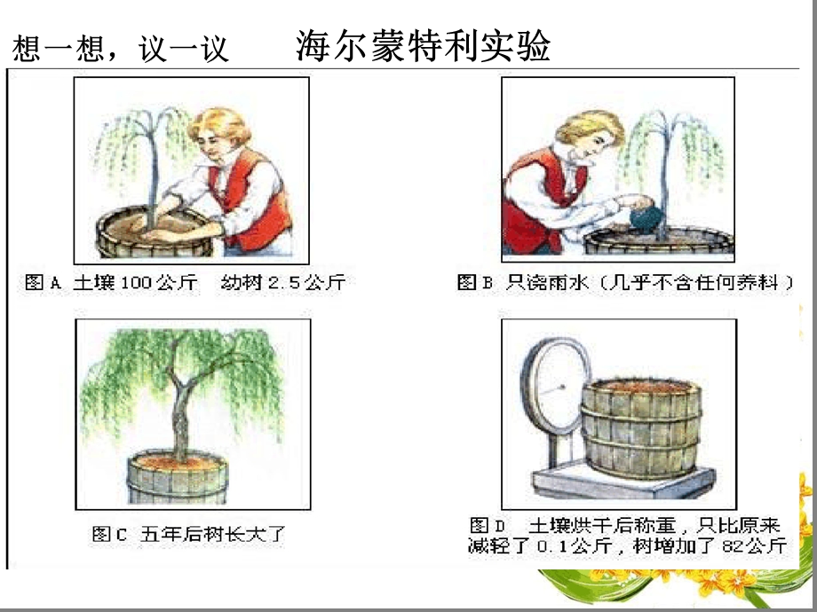 光合作用吸收二氧化碳释放氧气ppt课件.ppt_第3页