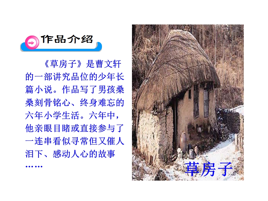 《孤独之旅》课件-公开课.ppt_第3页