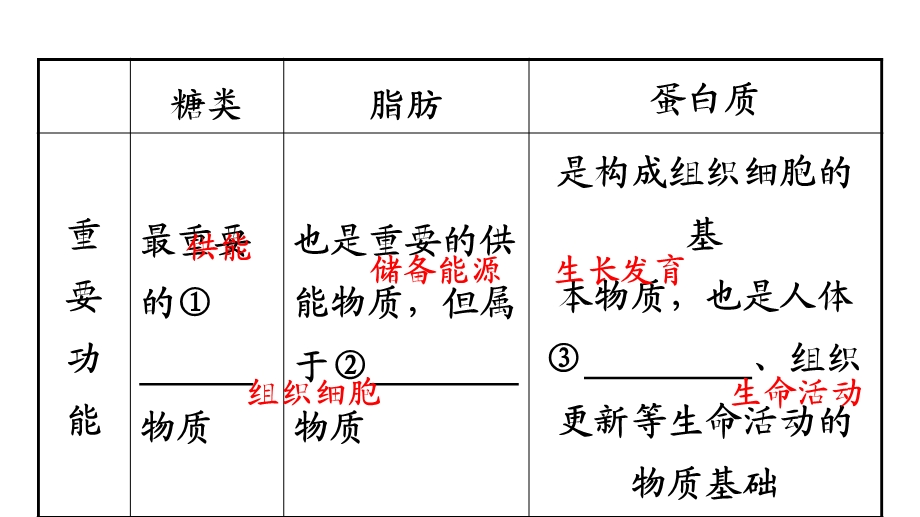 中考生物复习：人的生活需要营养ppt-济南版课件.ppt_第3页