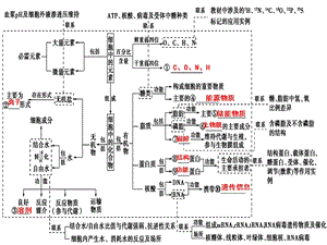 二轮复习专题细胞的分子组成与基本结构ppt课件.ppt